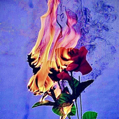 Heart attack - Carter Hall ft DNM