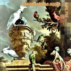 AiRLiNE   "IMAGINARIUM AVEM"