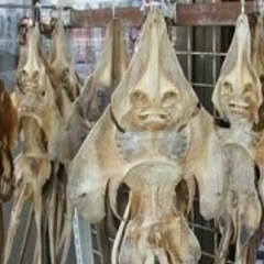 Kaimo reperis (Part 1)