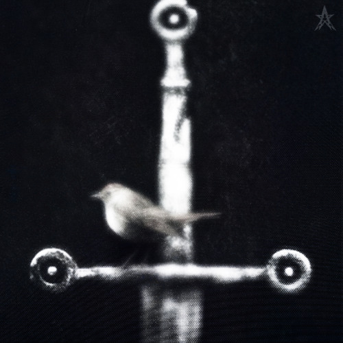 10 PERCS w/9tails (archivesnett)