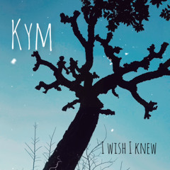 iwishiknew (demo)