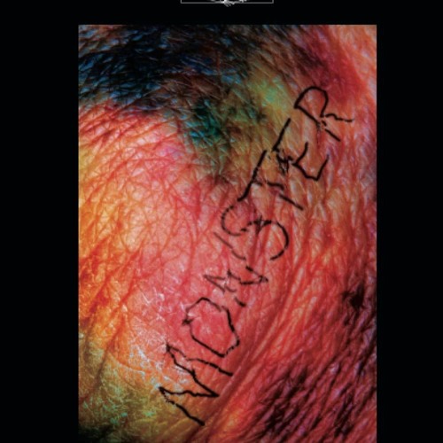 Read ebook [PDF]  Monster