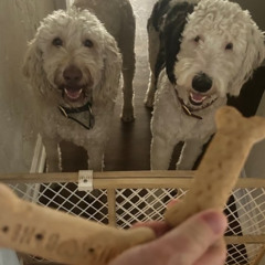 Tails of Joy: Life with Dogs by Four Dog Paws