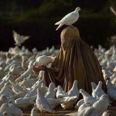 سه‌نوازیِ عود| امیدهایِ کوچک