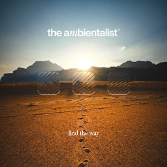 The Ambientalist - Find The Way