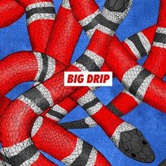 Big Drip | Sample Pack | Trap / Hip Hop
