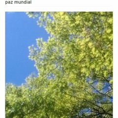 paz mundial