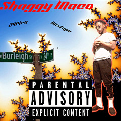 Shaggy Maco - PurpSaidNotEasy (prod PurpTokyo)