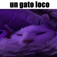 one way trip to jenkemtown