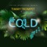 Timmy Trompet Cold - Peter Hedegård Remix