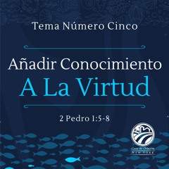 Tema | Añadir Conocimiento A La Virtud