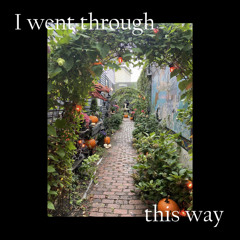 I went through this way