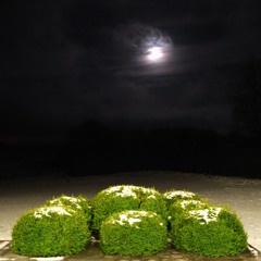 Festa di Compleanno per Marc