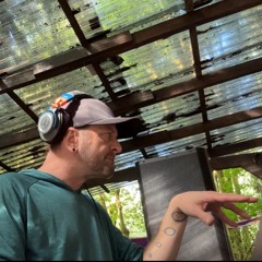 BSM LIVE 08102025 RETURN TO NATURE part2 : monkey music