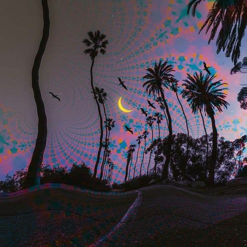like bns (164bpm)