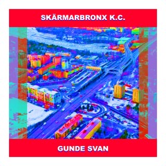 Gunde Svan