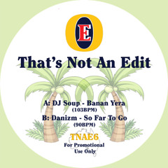 Danizm - So Far To Go (7" Edit)