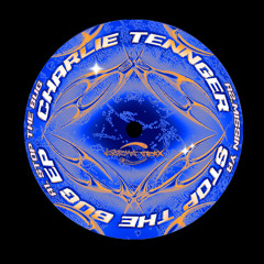 Charlie Tennger - Stop The Bug EP (Previews)