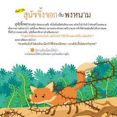 174 สุนัขจิ้งจอกกับพงหนาม