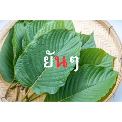 ยันนะบอกก่อน