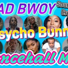 Mad Bwoy - Psycho Bunny Dancehall Mix June 2022 Vybz Kartel, Skillibeng, Skeng, Teejay, Jahvillani