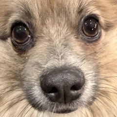 its to late (prod. @fiftyzeros)