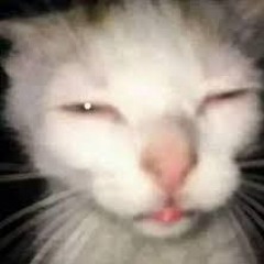 my brain when im high