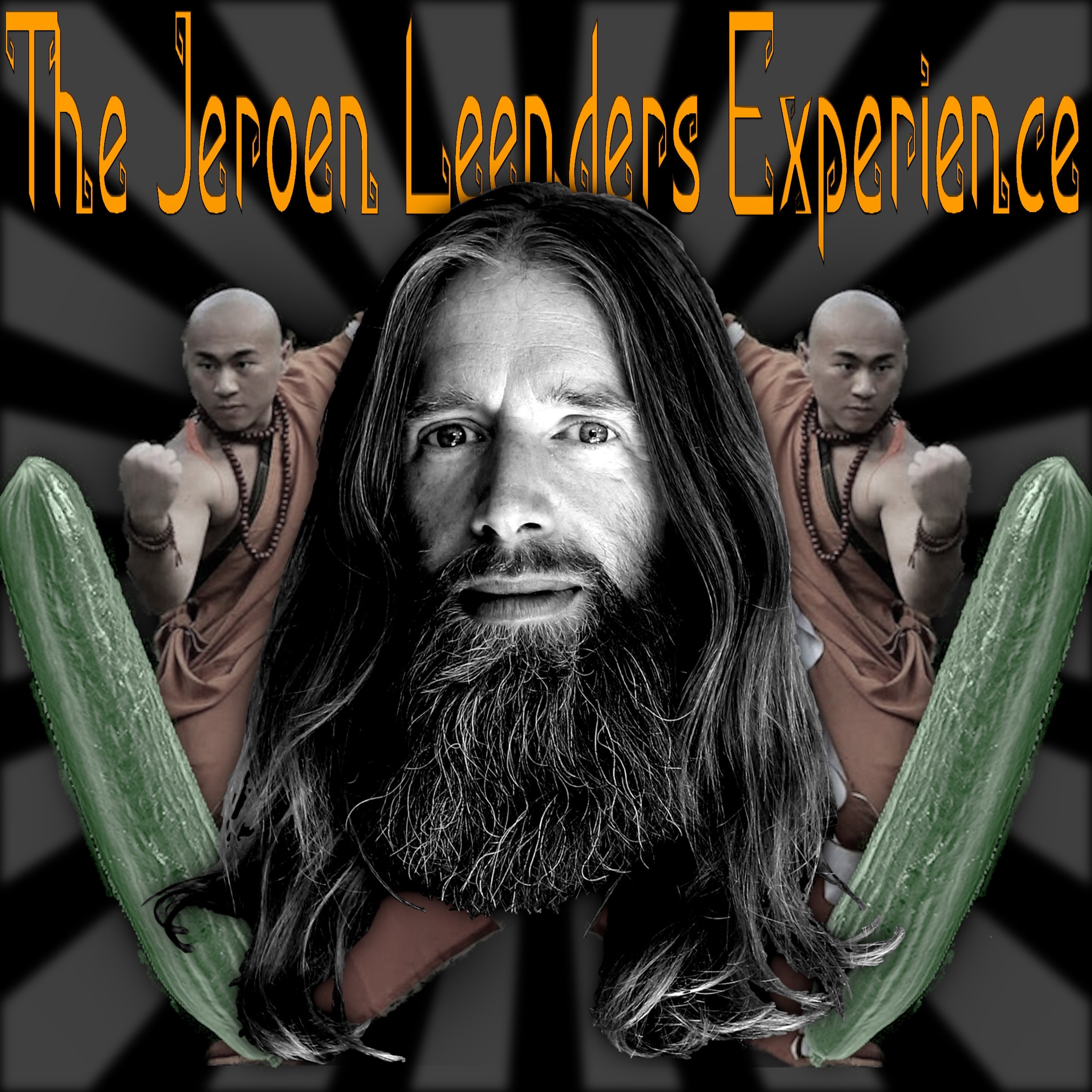 Jeroen Leenders Experience