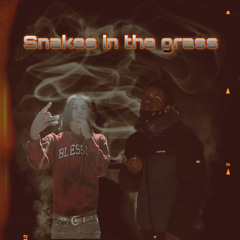 Snakes In The Grass (Ft. Tc Wadjii)