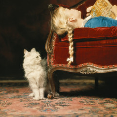 Sopa de Champiñones