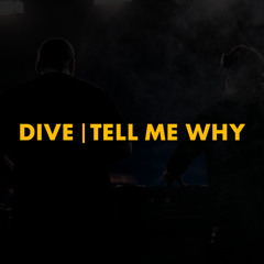 Dive | Tell Me Why (Swedish House Mafia Mashup)