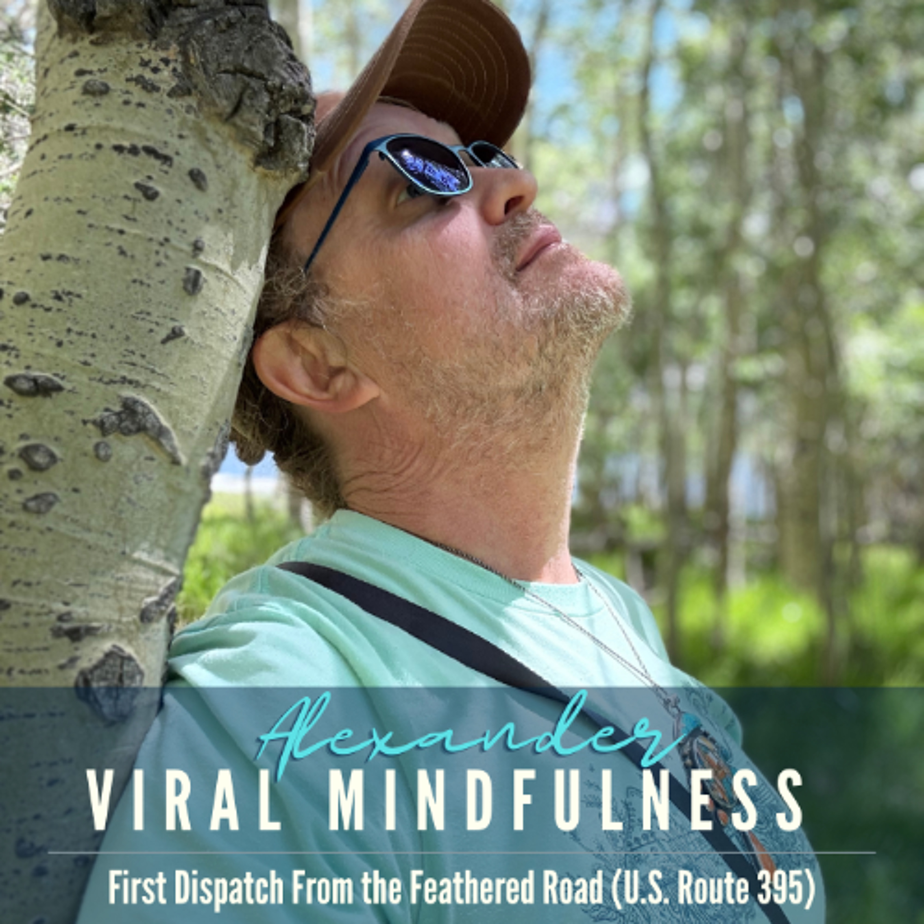 Viral Mindfulness the Podcast