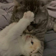 lala you make me feel love