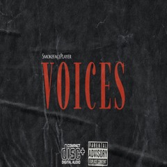 MORE VOICES