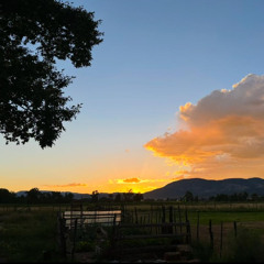 Vila Nova de Gaia - A Breath on Planet Earth