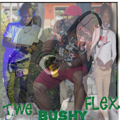 T.WE - FLEX - Bushy freestyle comp.mp3