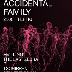 Accidental Familiy #1, 24.05.2025