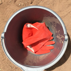 Plastic Gloves