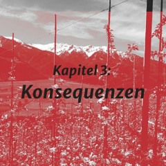 Kapitel 3: Konsequenzen - Springerstiefel & Lederhosen