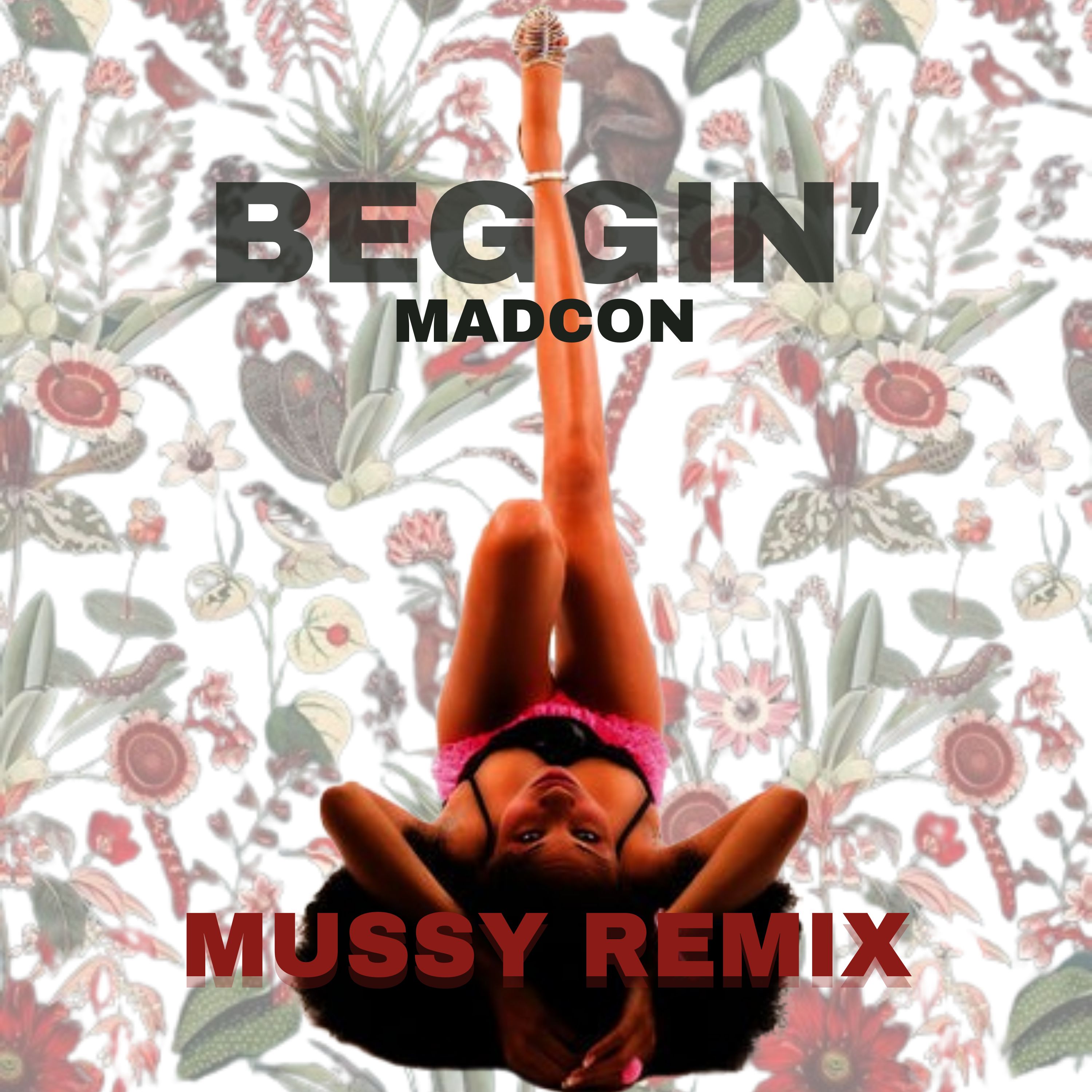 Madcon – Beggin’ (MUSSY REMIX)