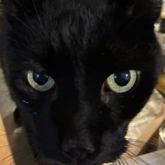 Nigeria - Young Thug (Day n Nite remix)