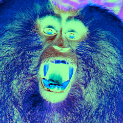 S2S Jamns 2026 - Day 08