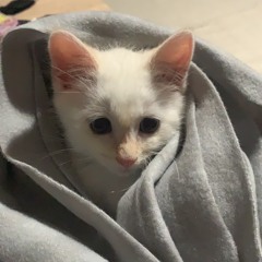🖤