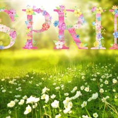 20.03.2024 New Spring 1