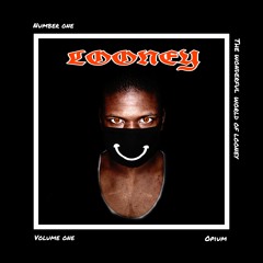 Whole Lotta Looney (Prod. By Shorty) (Lyrics in Desc.)