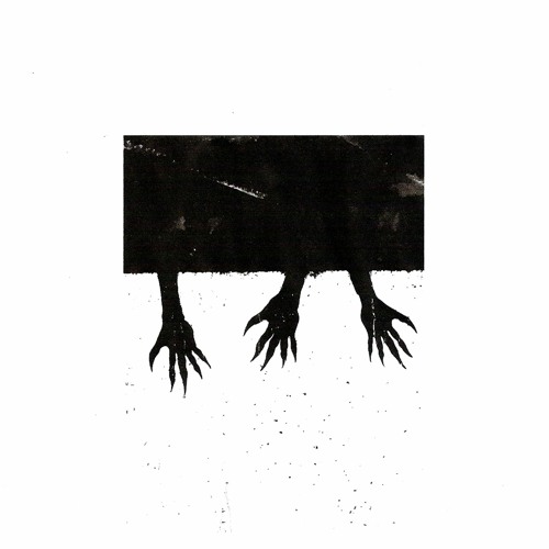 PREMIERE • Mule Driver - Trap Door in the Sun [Confused Machines]