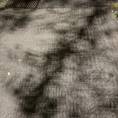 Roasty Instrumental [over Earl Sweatshirt - Whole World Acapella ft. Maxo]