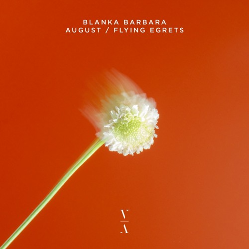Blanka Barbara - Flying Egrets (Extended Mix)