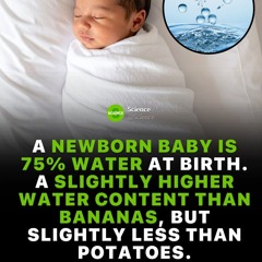 WHEN APHEX MET THE BLITZ vocal version.m4a