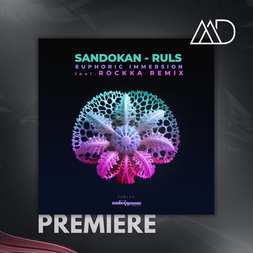 PREMIERE: Ruls, Sandokan - Euphoric Immersion [Undergroove Music]